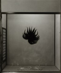 Tokonoma Series, Anger